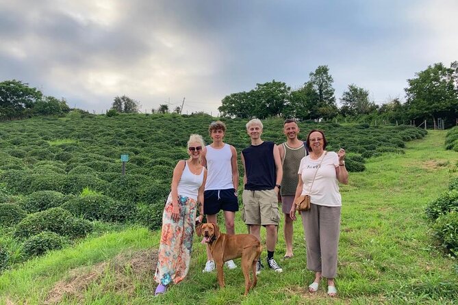 1,5 Hours Tea House and Tea Garden Trip in Ozurgeti Georgia - Why Ozurgeti Tea Feels Personal, Not Touristy