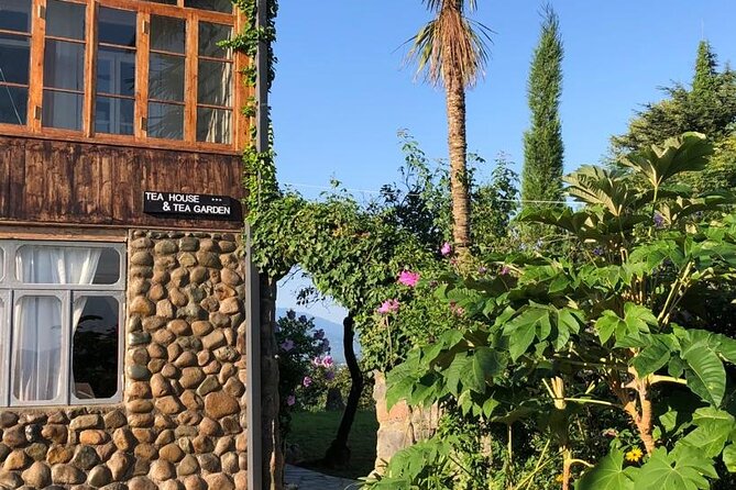 1,5 Hours Tea House and Tea Garden Trip in Ozurgeti Georgia - Tea Tasting with the Tea Master: Three Varieties, Real Differences