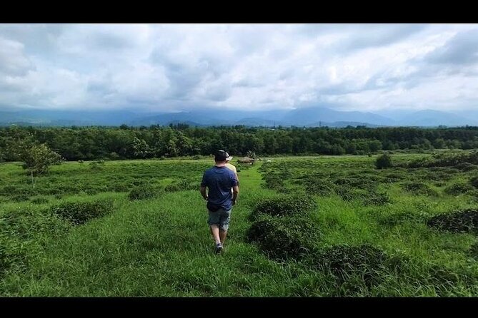 1,5 Hours Tea House and Tea Garden Trip in Ozurgeti Georgia - Start at Melekeduri, Then Get to the Tea Gardens Fast