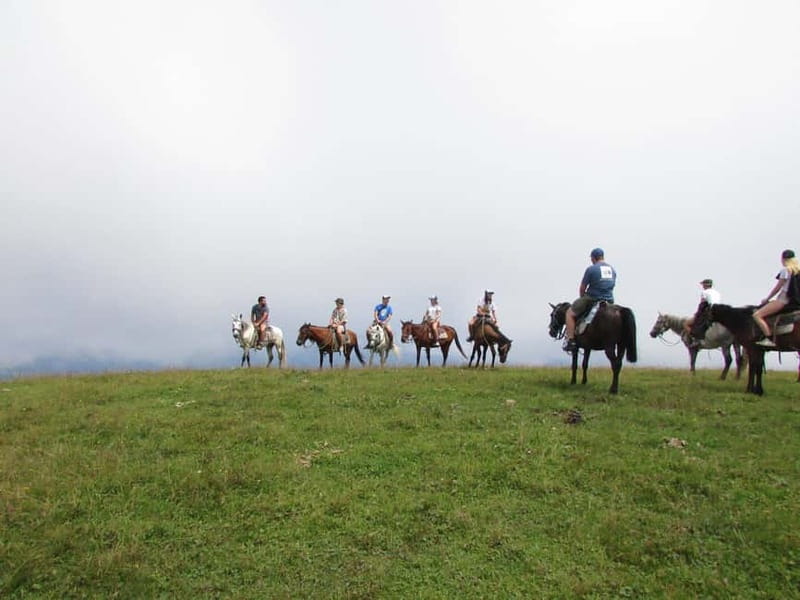 1 Day Horse Riding Adventure in Borjomi Mountains - Horse Time in Borjomi Kharagauli: What the Ride Is Like
