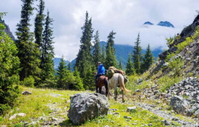 1 Day Horse Riding Adventure in Borjomi Mountains