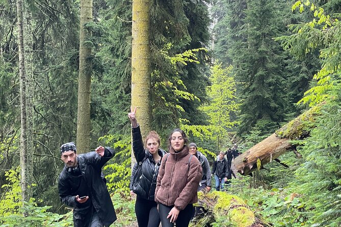 13 km hike in Borjomi - Group tour from Kutaisi - Key highlights you will care about