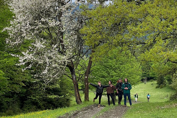 13 km hike in Borjomi - Group tour from Kutaisi - The guides: Luka’s patience, Giorgi’s energy, and what that means for you