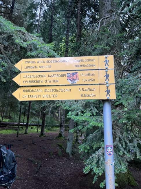 13 km hiking tour from Kutaisi to Borjomi - Entering Borjomi-Kharagauli: the permission stop that matters