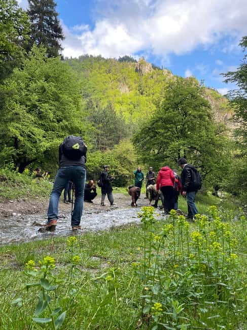 13 km hiking tour from Kutaisi to Borjomi - The 13 km hike: what the elevation means for your body
