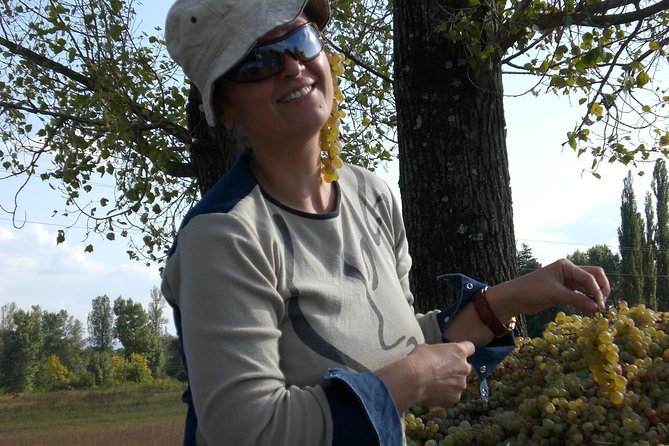 2-Day Private Wine Tour to Kakheti from Tbilisi - Kakheti in two days, a private route from Tbilisi