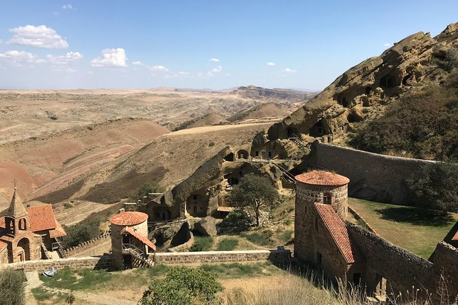 2 Days Private Organic Wine Tour to Kakheti Region via Rustavi and David Gareja - Lunch, Water, and Why Meals Matter on a Wine Tour