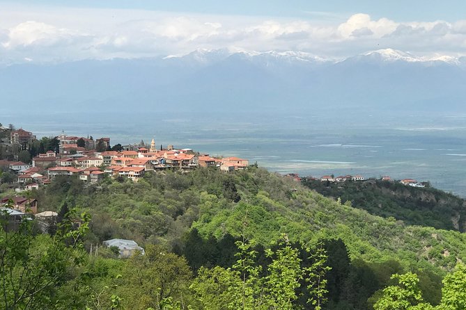 2 Days Private Organic Wine Tour to Kakheti Region via Rustavi and David Gareja - Who This Tour Fits Best (And Who Should Reconsider)