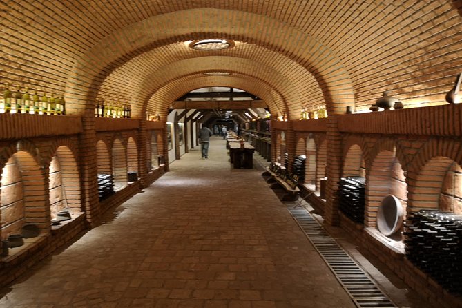 2 Days Wine Tour To Kakheti All inclusive - Day 1, fortress energy and qvevri culture
