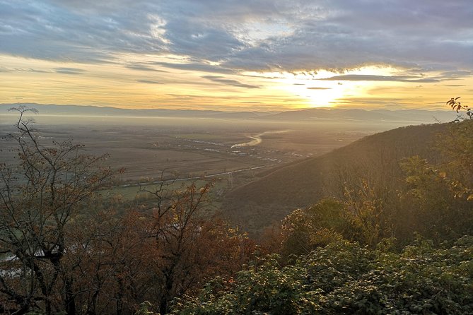 2 Days Wine Tour To Kakheti All inclusive - What the wine experience actually teaches you