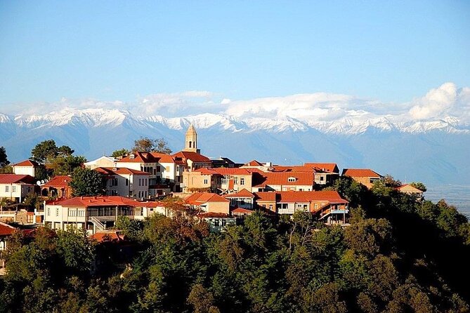 2 Full Day Private Tours from Tbilisi - Day 2 in Kakheti: Patardzeuli wine culture and the hilltop stops that calm things down