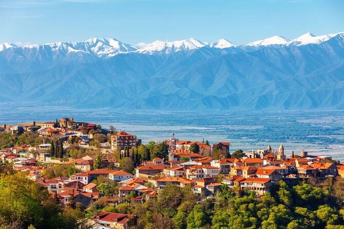 2 Full Day Private Tours from Tbilisi - Guide quality and driving comfort: why your day feels smoother
