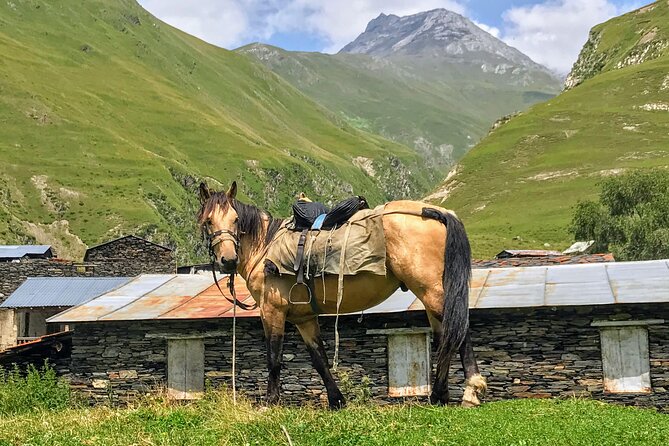 3 Day Tusheti Tour Explore Unspoiled Wilderness - Guides And Drivers, The Team That Makes This Work