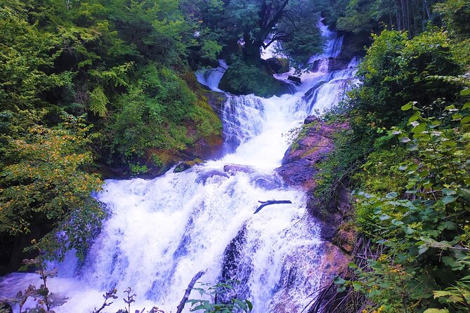 3 Days/2 Nights Lechkhumi Region Tour Package in Georgia - Key highlights to look forward to