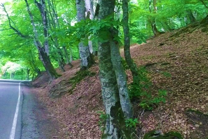 3 Days/2 Nights Vashlovani National Park Tour Package in Georgia - Who this tour fits best (and who might prefer something else)