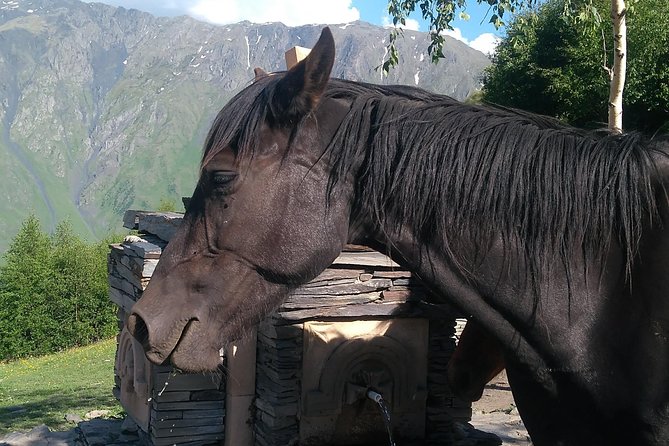 3 Days in Georgia: Private Tour with Wine, Mountains & Culture - The real standout: the driver-guide care you can feel
