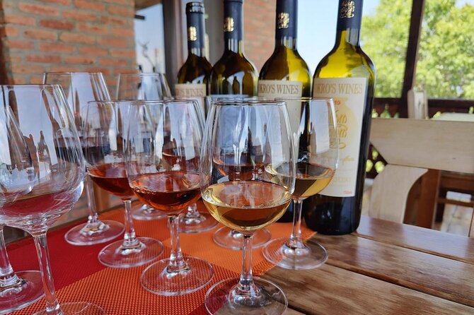 3 Organic Wineries Private Day Trip to Wine Province With Lunch and Tastings - Vellino Wine Cellar: time with a young organic winemaker
