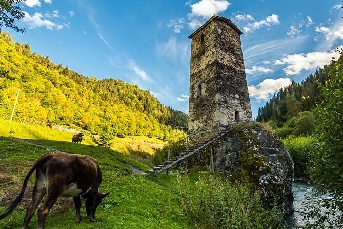 4-Day Tour in Svaneti - Mestia/Ushguli - Who this tour is best for