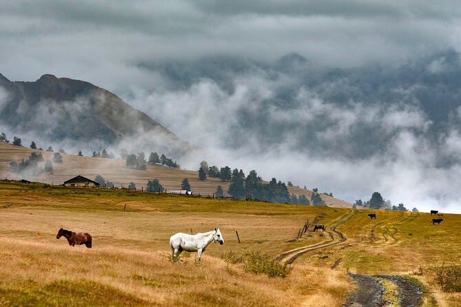 4 Days 3 Nights Tour to Tusheti with Hiikes - Key highlights worth planning around