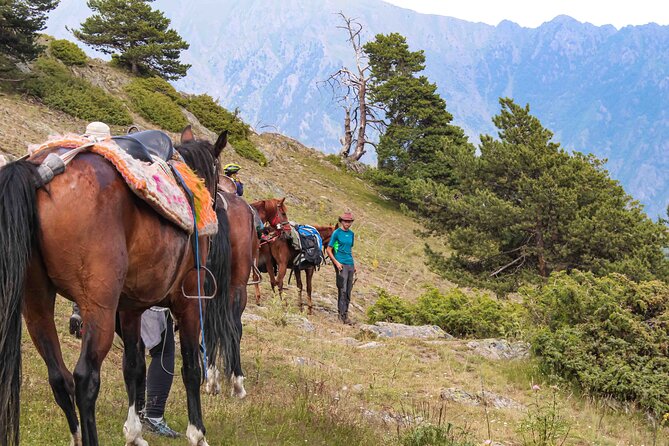 5-Day Horse Riding Tour in Caucasus - Day 2 Dartlo And The Sanare Pass 2500: Gorge Riding And UNESCO-Tentative Culture