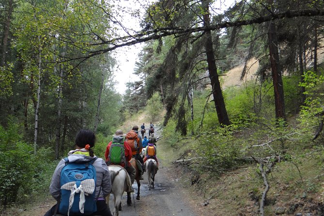 7-day hiking expedition to Tusheti through the Atsunta pass - Day 6: Omalo plus horse riding to Shenako and Diklo