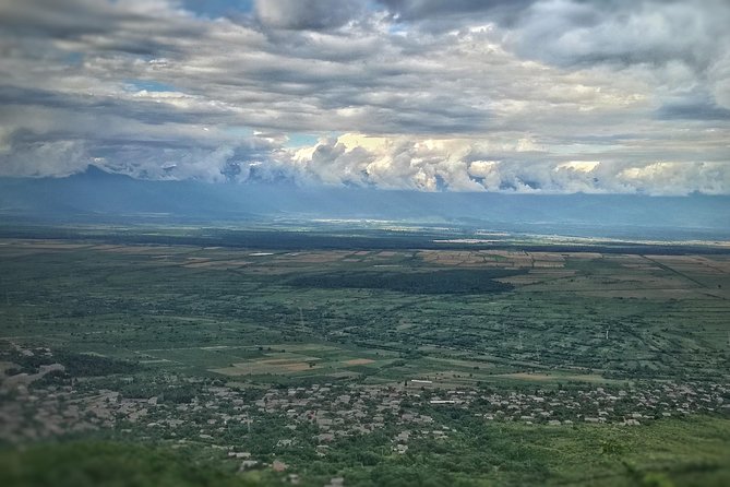 A day tour to Kakheti region/wine/culture/history and gastro tour - Private Kakheti feels easier than you think