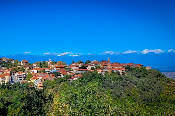 A day tour to Kakheti region/wine/culture/history and gastro tour - Badiauri bread-baking: the most hands-on start