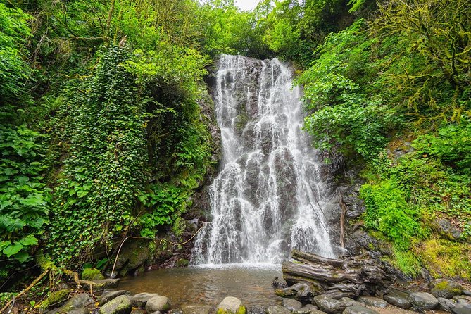 Adjarian Mountains Waterfalls Wine Tour Best views from Batumi Kobuleti - Key highlights you should know before you go