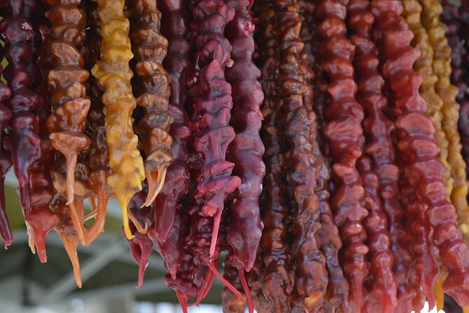 Adventure in Kakheti - Bodbe, Sighnaghi, wine tasting (Private Experience) - Price and What You’re Actually Paying For