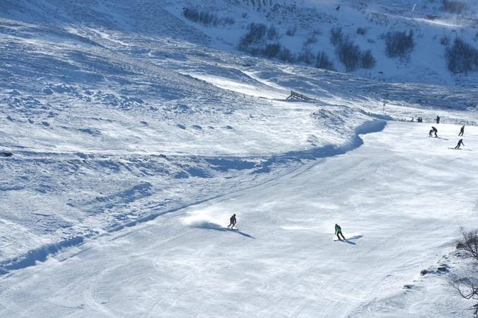 Bakuriani-Borjomi full day trip - Bakuriani Stop: Ski Town Altitude, Trialeti Range Views, and Easy Time to Roam