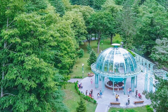 Bakuriani-Borjomi full day trip - Private Means Flexible: No Crowd Pressure, and David’s Style of Planning