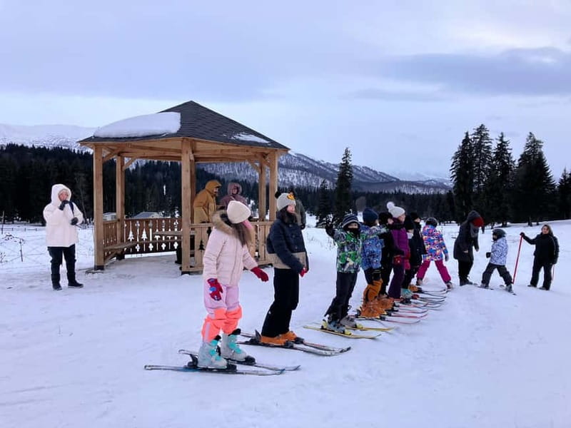 Bakuriani: Private or group Ski Lesson - Key things that make this Bakuriani lesson work