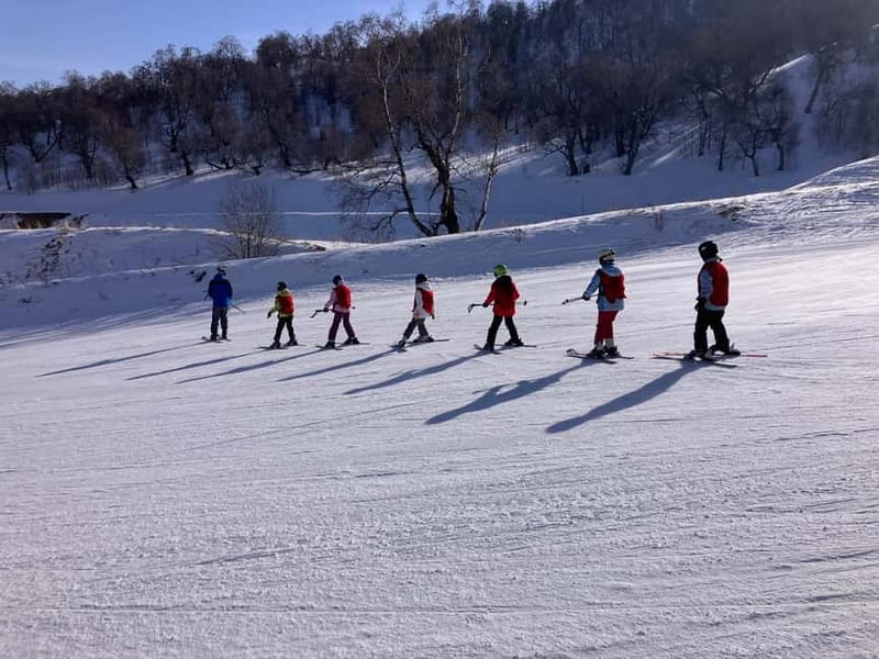 Bakuriani: Private or group Ski Lesson - Picking group vs private: the right lesson structure for your level