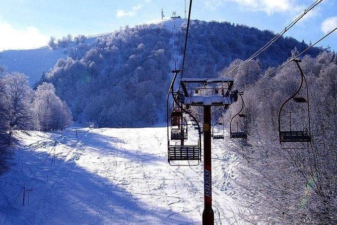 Bakuriani ski resort and the legendary Borjomi (Group Tour) - Paata and Giorgi: why the guide can make or break the day