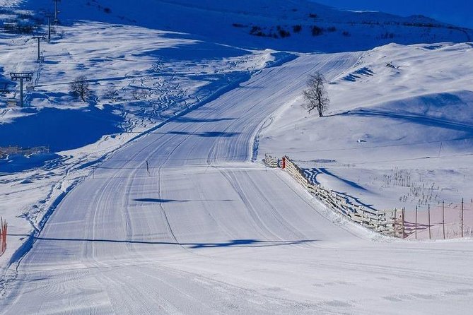 Bakuriani ski resort and the legendary Borjomi (Group Tour) - Price and value: what $55 includes, and what to budget for