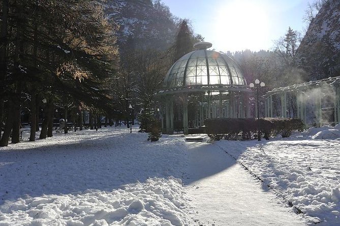 Bakuriani ski resort and the legendary Borjomi (Group Tour) - Timing, weather, and what to pack for a full winter day