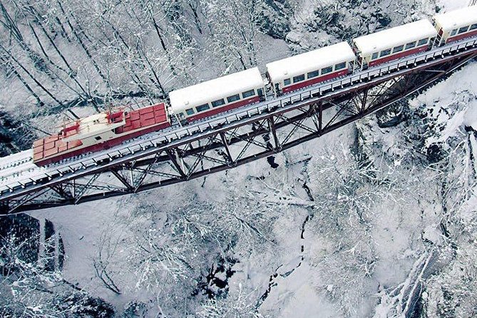 Bakuriani ski resort and the legendary Borjomi (Group Tour) - From Tbilisi: a 9:00 am start with comfortable transport