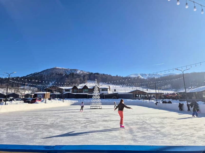 Bakuriani: Unforgetable snow activities from Kutaisi - Forest Snowmobile Tour: The Best Activity Bang For Winter Thrills