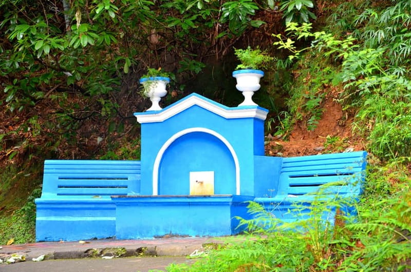 Batumi: Botanical Garden, Petra Fortress and Miniatures Park - Key things I’d watch for