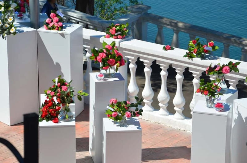 Batumi: Botanical Garden, Petra Fortress and Miniatures Park - First stop: Batumi Botanical Garden, slope views and big greenery