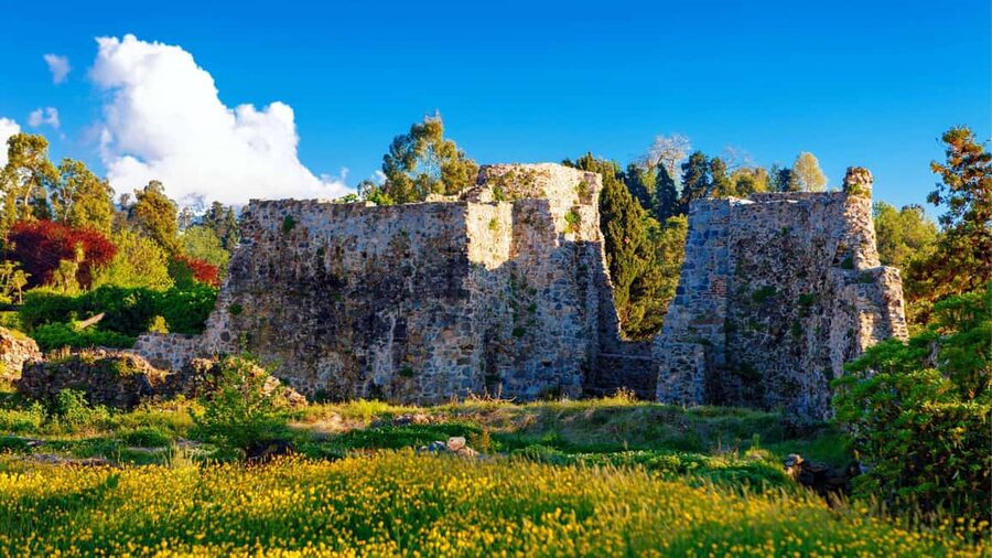 Batumi City - Botanical Garden - Petra Fortress from Kutaisi - Should you book the Petra Fortress and Batumi Botanical Garden day trip?