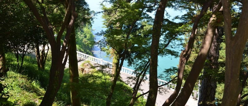Batumi: Exploring Botanical Garden + Family Wine Tasting - Should you book this Batumi Botanical Garden and Family Wine Tasting tour?