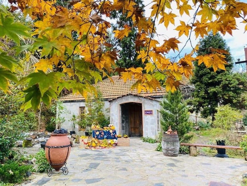 Batumi: Exploring Botanical Garden + Family Wine Tasting - Entrance tickets included, lunch not included: how the value works