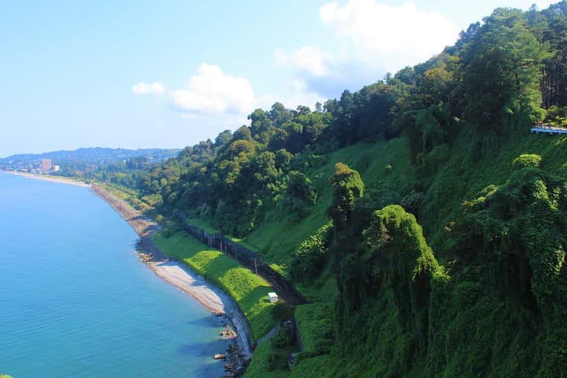 Batumi: Exploring Botanical Garden + Family Wine Tasting - Practical tips to make the day easier