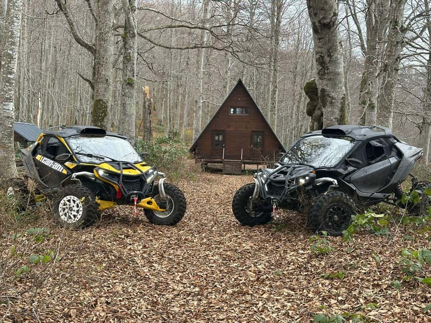 Batumi: Mtirala ATV, Buggy Maverick & Horse Riding Adventure - Mtirala from Batumi: what this half-day mix is really like