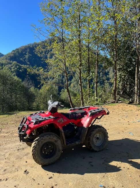 Batumi: Mtirala ATV, Buggy Maverick & Horse Riding Adventure - Horse riding in Mtirala: a calmer thrill with real control