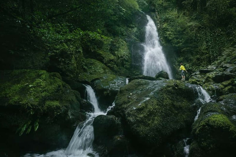 Batumi & Mtirala N.P. hike group tour from Kutaisi - Mtirala National Park: Cable-Car Crossing and the 3 km Waterfall Walk