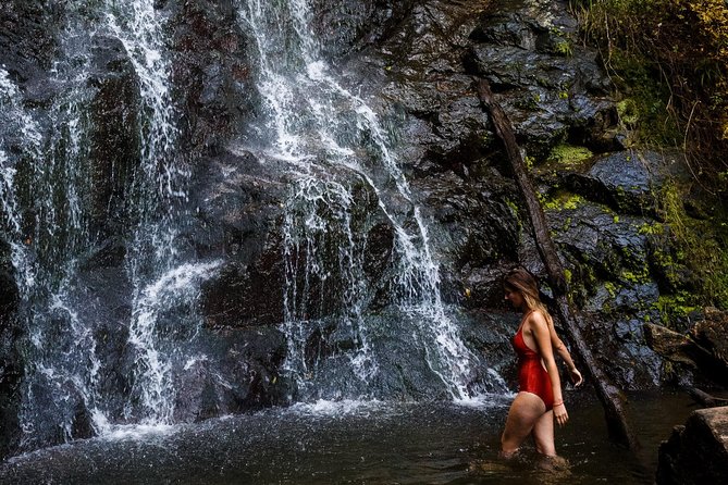 Batumi & Mtirala N.P. Hiking tour from Kutaisi - The rope attraction, plus a swim if conditions allow