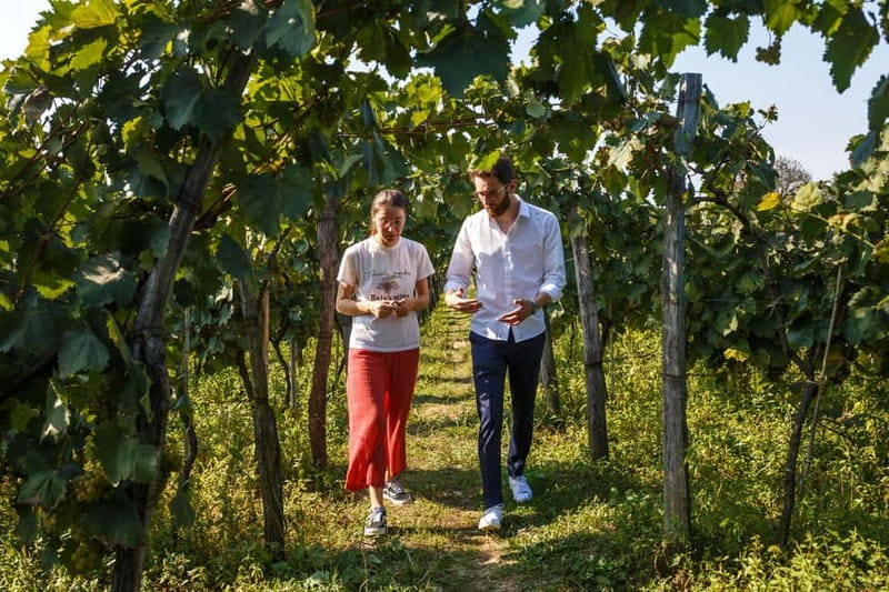 Batumi to Kutaisi, Wine & Dine - Central Park to Golden Marquee Palace, What’s Actually Worth Seeing