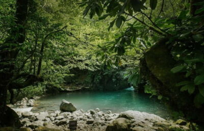 Batumi to Mtirala National park – Half day hiking group tour
